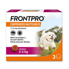 Cargar imagen en el visor de la galería, Frontpro Masticable (3 comprimidos)