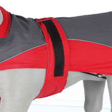 Cargar imagen en el visor de la galería, Impermeable L'orient Rojo/Gris - 50% DTO
