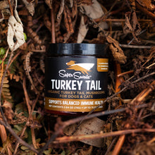 Cargar imagen en el visor de la galería, Super Snouts Turkey Tail 75g. Regula y Refuerza el Sistema Inmune.
